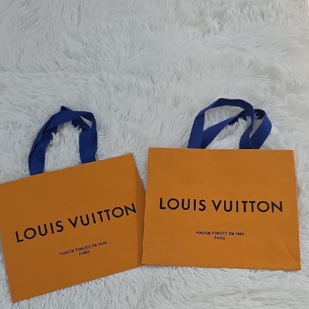 2pcs Louis Vuitton Paper Bags